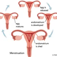 22 Wajah yang Mewakili Derita Bulanan Para Cewek | via: pinterest.com