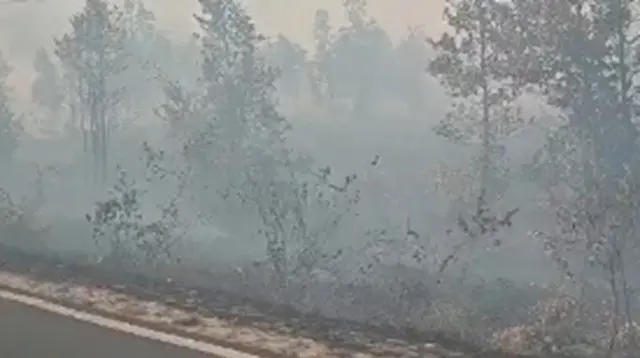 Anak Sekolah di Tengah Kepungan Asap Kebakaran Hutan Kalimantan