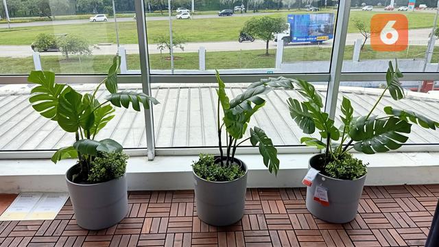 Inspirasi Menghijaukan Hunian Di Lahan Terbatas Ala Ikea Lifestyle Liputan6 Com