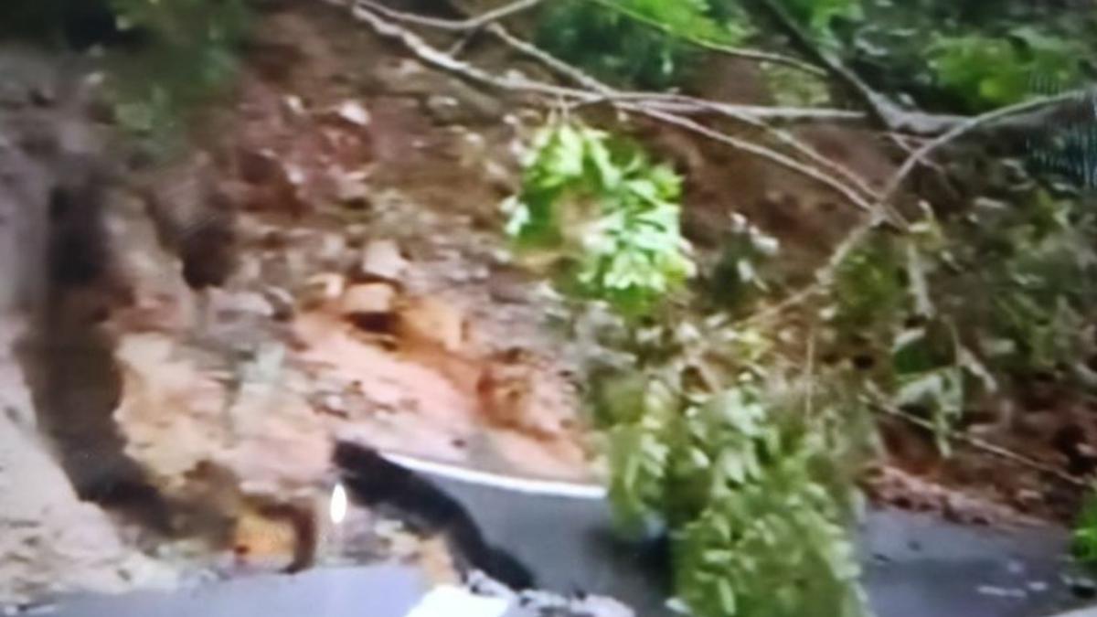 Jalur Padang - Bukittinggi Lumpuh Total Dampak Longsor di Lembah Anai, Kendaraan Mengular Panjang