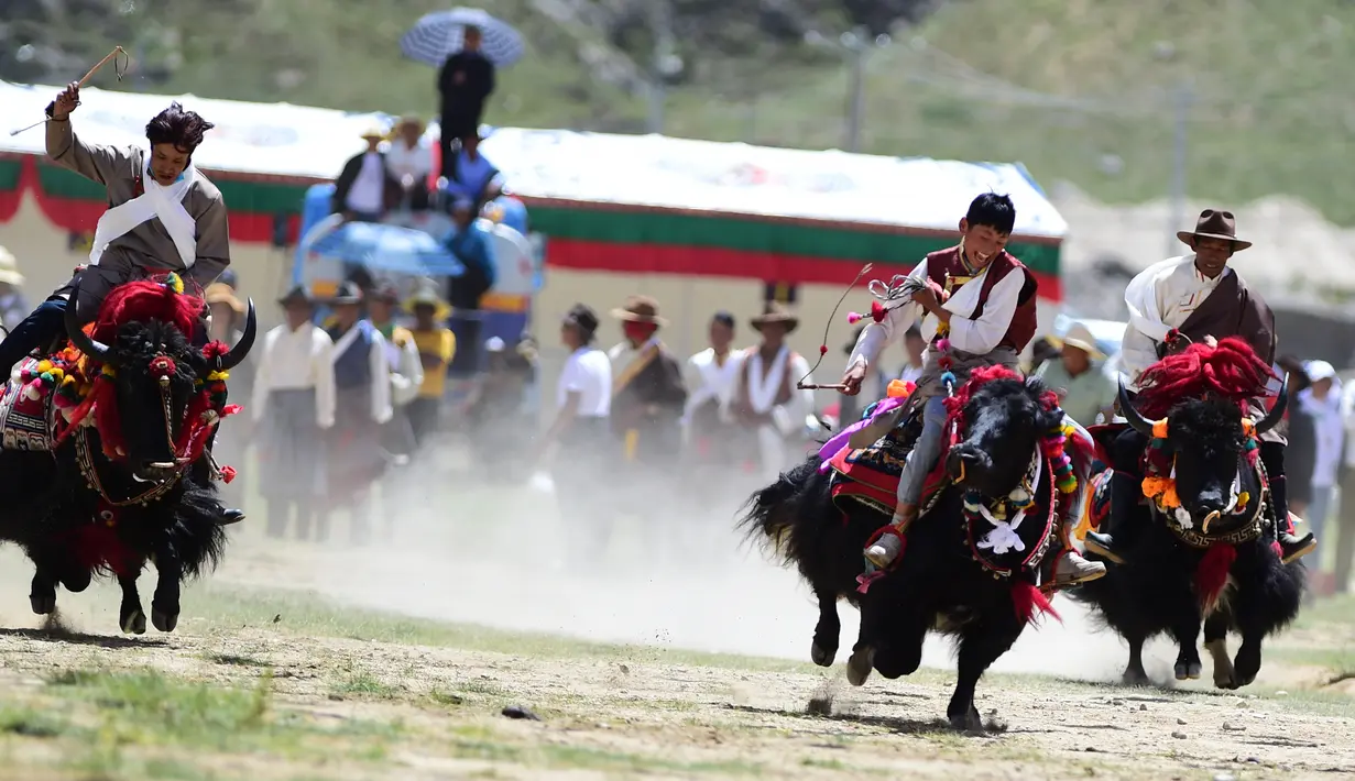 Penduduk desa dari Wilayah Quxu memamerkan keterampilan menunggang kuda dalam perayaan Festival Ongkor di Lhasa, Daerah Otonom Tibet, China (6/8/2020). Festival Ongkor atau Panen Raya, sebuah warisan budaya takbenda nasional. (Xinhua/Soinam Norbu)