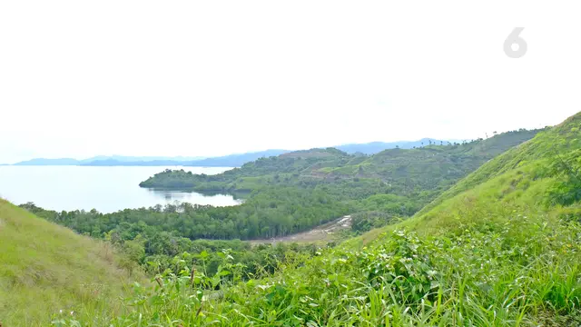Wisata NTT