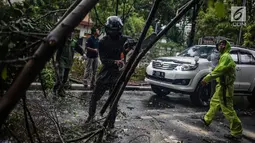 Petugas Dinas Kebersihan dan Pertamanan memotong pohon yang tumbang akibat hujan deras di kawasan jalan Sutan Syahrir, Jakarta, Kamis (22/11). Tumbangnya pohon tersebut disebabkan hujan deras yang melanda Jakarta siang tadi. (Liputan6.com/Faizal Fanani)