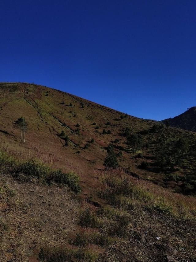 Pria Ini Minta Fotonya Diedit Lebih Bagus, 6 Hasilnya Bikin Senyum Sendiri