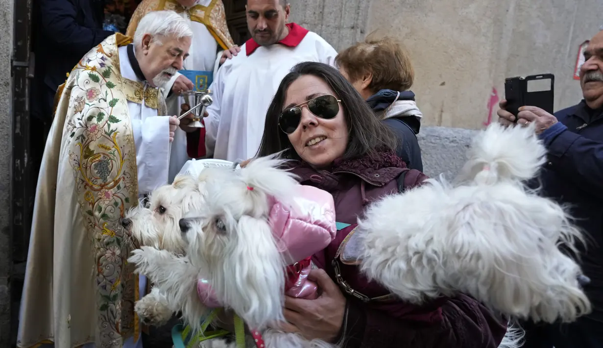 Seorang pendeta memercikkan air suci pada hewan peliharaan di gereja San Anton selama pesta Santo Antonius, santo pelindung hewan, di Madrid, Spanyol, Selasa (17/1/2023). Pesta itu dirayakan setiap tahun di banyak bagian Spanyol dan orang-orang membawa hewan mereka ke gereja untuk diberkati. (AP Photo/Paul White)