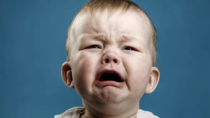 Foto: copyright imagesci.com