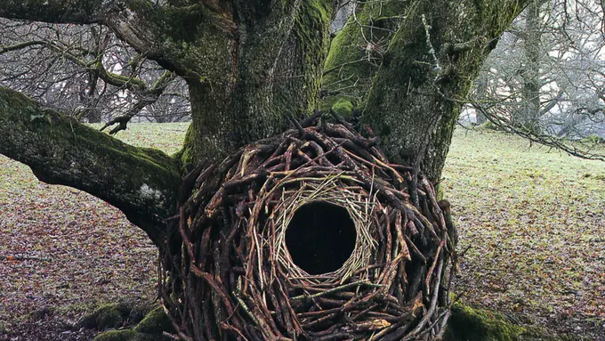 10 Foto Alam yang Disulap Jadi Instalasi Seni Visual Mengagumkan