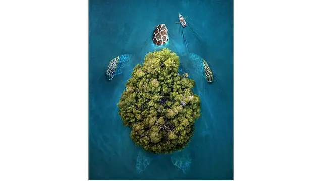 Sebuah pulau di tengah laut dimanipulasi layaknya bentuk kura-kura.
