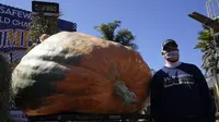 Travis Gienger, befoto di samping labu seberat 1,066 kilogram, dalam kontes Safeway World Championship Pumpkin Weigh-Off di Half Moon Bay, California AS. (Photo credit:AP Photo/Jeff Chiu)
