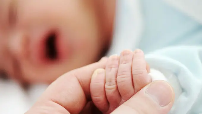 Ilustrasi (c) shutterstock.com