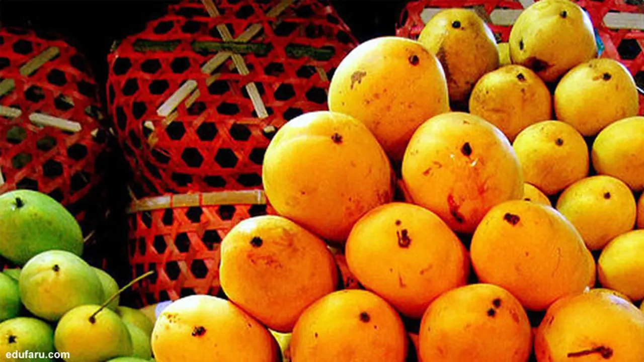 buah-tropis130423b.jpg