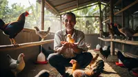 7 Rekomendasi Usaha Ternak Unggas Modal Rp1 Juta dengan Panen 1 Bulan