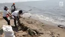 Para relawan membersihkan sampah di pantai timur ancol, Jakarta, Minggu (18/8/2019). Gerakan Menghadap Laut 2.0 akan digelar serentak di lebih dari 100 titik lokasi di seluruh Indonesia. (Liputan6.com/Herman Zakharia)