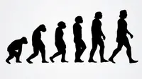 Ilustrasi evolusi. (Sumber Flickr/Vector Open Stock)