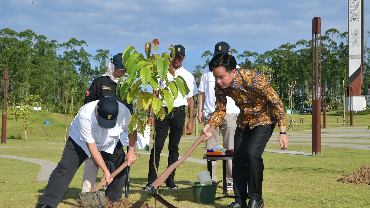 Wapres Gibran Rakabuming melakukan penanaman Pohon Ulin di Plaza Bhinneka Tunggal Ika, Ibu Kota Nusantara (IKN), Kamis (29/5/2025).