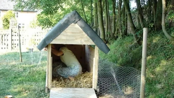 Jadi Budak, Perempuan Ini Disuruh Tidur di Kandang Bebek