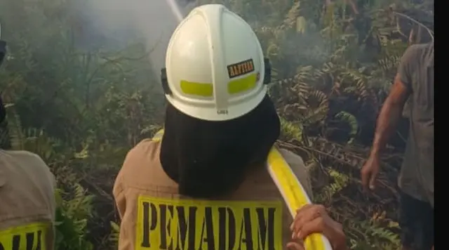 Kebakaran Dekat Stasiun Kampung Bandan Diduga Akibat Rokok, KRL Terganggu