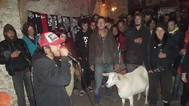 8 Momen Tingkah Absurd Kambing yang Bikin Orang Tepuk Jidat