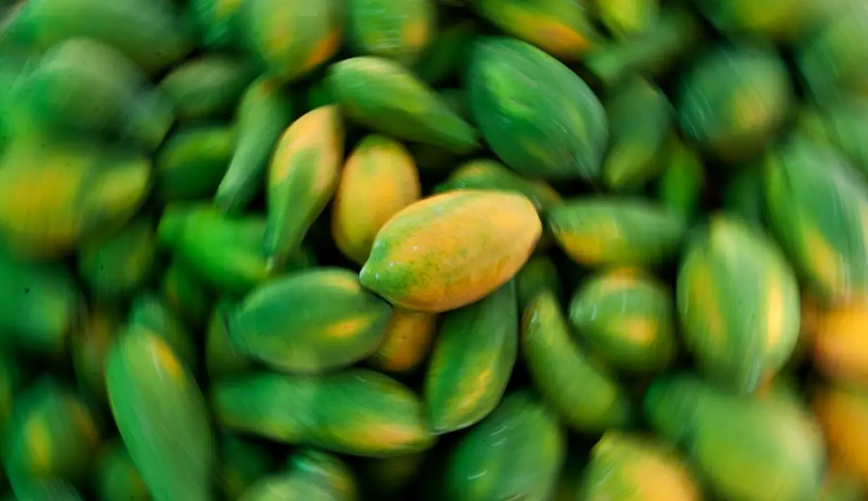 Gosok wajah Anda dengan bagian dalam buah pepaya selama sekitar satu menit sebelum dibersihkan, ini akan membersihkan dan melembutkan kulit. (AFP PHOTO/Luis ROBAYO)