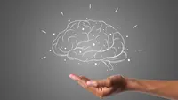 10 Cara Meningkatkan IQ, Bisa Dilatih Lewat Kebiasaan Sehari-hari