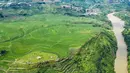 Foto dari udara yang diabadikan pada 29 Juni 2020 ini menunjukkan pemandangan sawah terasering di Xinmin, Kota Panzhou, Provinsi Guizhou, China barat daya. (Xinhua/Tao Liang)