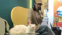 Perjalanan Tyas Mirasih dari Dog Person Menjadi Ibu 23 Kucing di Rumahnya