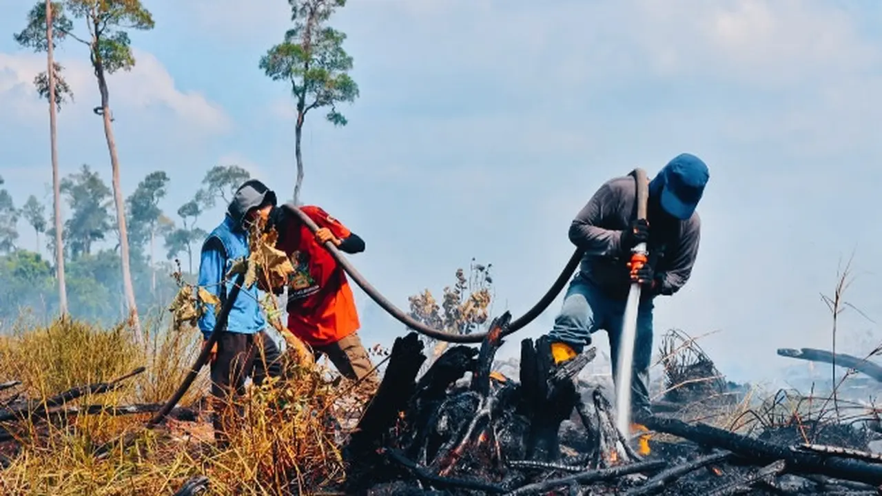 Petugas mendingingkan kebakaran lahan yang mengeluarkan asap agar api tidak muncul lagi.