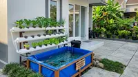 Kolam Terpal Mini dengan Pipa PVC NFT/ Ide Kolam Terpal Mini dengan Sistem Aquaponik di Rumah Type 36 (AI generated)