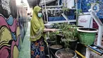 Warga mengenakan masker saat melakukan perawatan tanaman di Kampung Sehat, Utan Kayu Selatan, Jakarta, Rabu (11/11/2020). Gang yang berada di RT 001 RW 006 Utan Kayu Selatan tersebut disulap oleh warga setempat menjadi Kampung Sehat. (merdeka.com/Iqbal S. Nugroho)