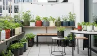 7 Inspirasi Teras Minimalis dengan Galon Bekas yang Disulap Jadi Urban Garden