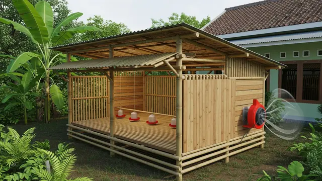 Desain Kandang Ayam Pedaging di Belakang Rumah Model Semi Closed House Skala Kecil