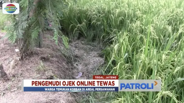 Diduga Dibunuh, Pengemudi Ojek Online Ditemukan di Area Persawahan