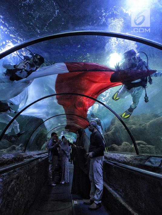 Penyelam membentangkan bendera Merah Putih untuk memperingati HUT Ke-73 Republik Indonesia di Seaworld Ancol, Jakarta, Jumat (17/8). Pengibaran bendera melibatkan para penyelam profesional dan artis peran Marsha Aruan. (Liputan6.com/Faizal Fanani)