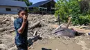 Seorang anak laki-laki berdiri di samping seekor gajah Sumatra mati yang terkubur lumpur di daerah terdampak banjir di Meureudu, Kabupaten Pidie Jaya, Provinsi Aceh, pada 30 November 2025. Tidak hanya manusia, bencana hidrometeorologi akibat siklon tropis Senyar di Aceh juga berdampak pada kehidupan satwa liar. (CHAIDEER MAHYUDDIN/AFP)