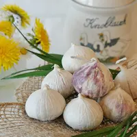 Manfaat Bawang Putih Tunggal untuk Asam Urat (Sumber: Pixabay)