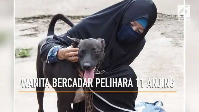 VIDEO: Viral, Wanita Bercadar Pelihara 11 Anjing
