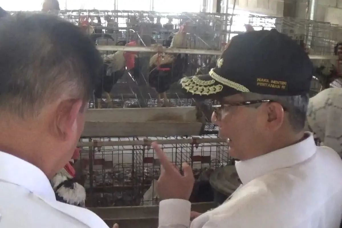 Wakil Menteri Pertanian Harvick Hasnul Qolbi