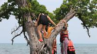 Turis memanjat pohon langka di pulau kecil di Thailand. (dok. Facebook/Tourism Authority of Thailand/Trat)