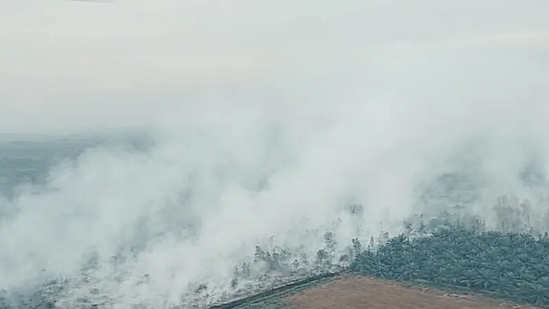 Kebakaran lahan yang diduga terjadi di salah satu perusahaan di Provinsi Riau.