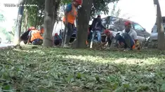 Kota Medan terus berbenah menyambut prosesi adat Kahiyang-Bobby.