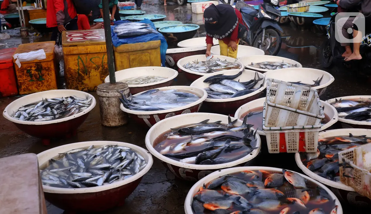 Suasana pasar ikan di Kamal Muara, Jakarta, Jumat (15/4/2022). Pasokan ikan dipastikan aman untuk kebutuhan selama Ramadhan 1443 Hijriah dan Hari Raya Idul Fitri, dengan perkiraan ketersediaan ikan tangkapan dan budidaya April dan Mei 2022 sebesar 2,99 juta ton. (Liputan6.com/Angga Yuniar)