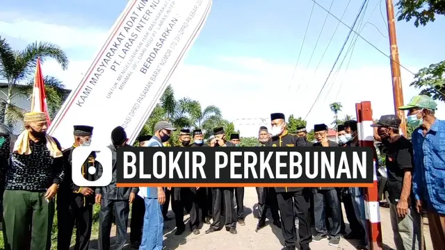 VIDEO: Hak Tak Dipenuhi, Warga Sumbar Blokade Perusahaan Sawit