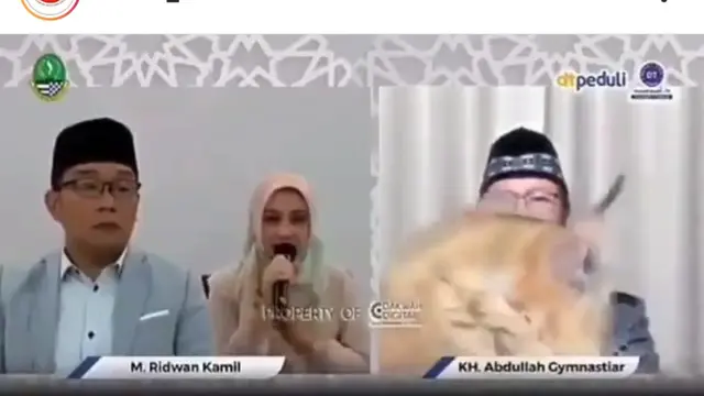 Momen Aa Gym, Ridwan Kamil, dan Atalia berbincang, lalu kucing muncul. (Foto: Instagram @lambe_turah)