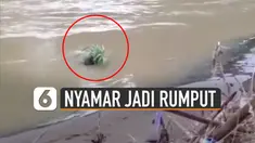 Kira-kira sudah cocok jadi prajurit TNI belum?