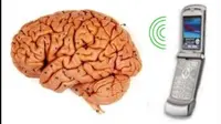 Seorang ilmuwan dari Swedia kembali menemukan adanya hubungan adanya hubungan antara penggunaan handphone dan tumor otak ganas (glioma).
