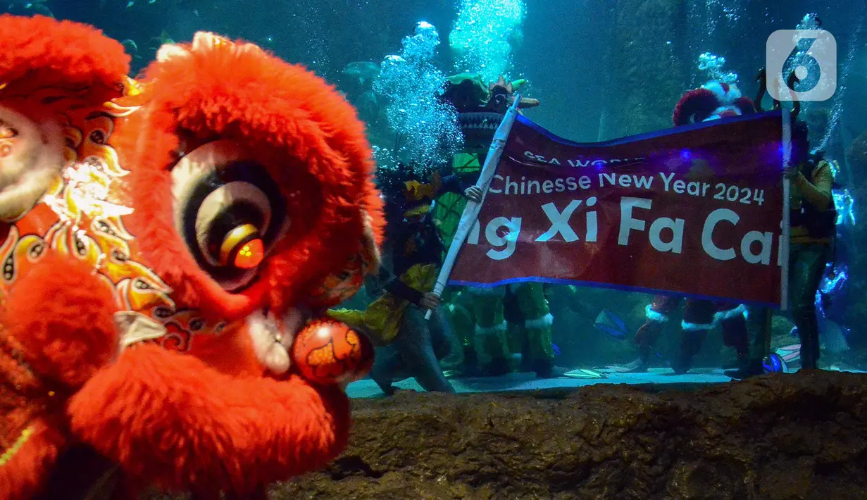 Atraksi barongsai menghibur pengunjung di akuarium Sea World Ancol, Jakarta, Kamis (8/2/2024). (merdeka.com/Arie Basuki)