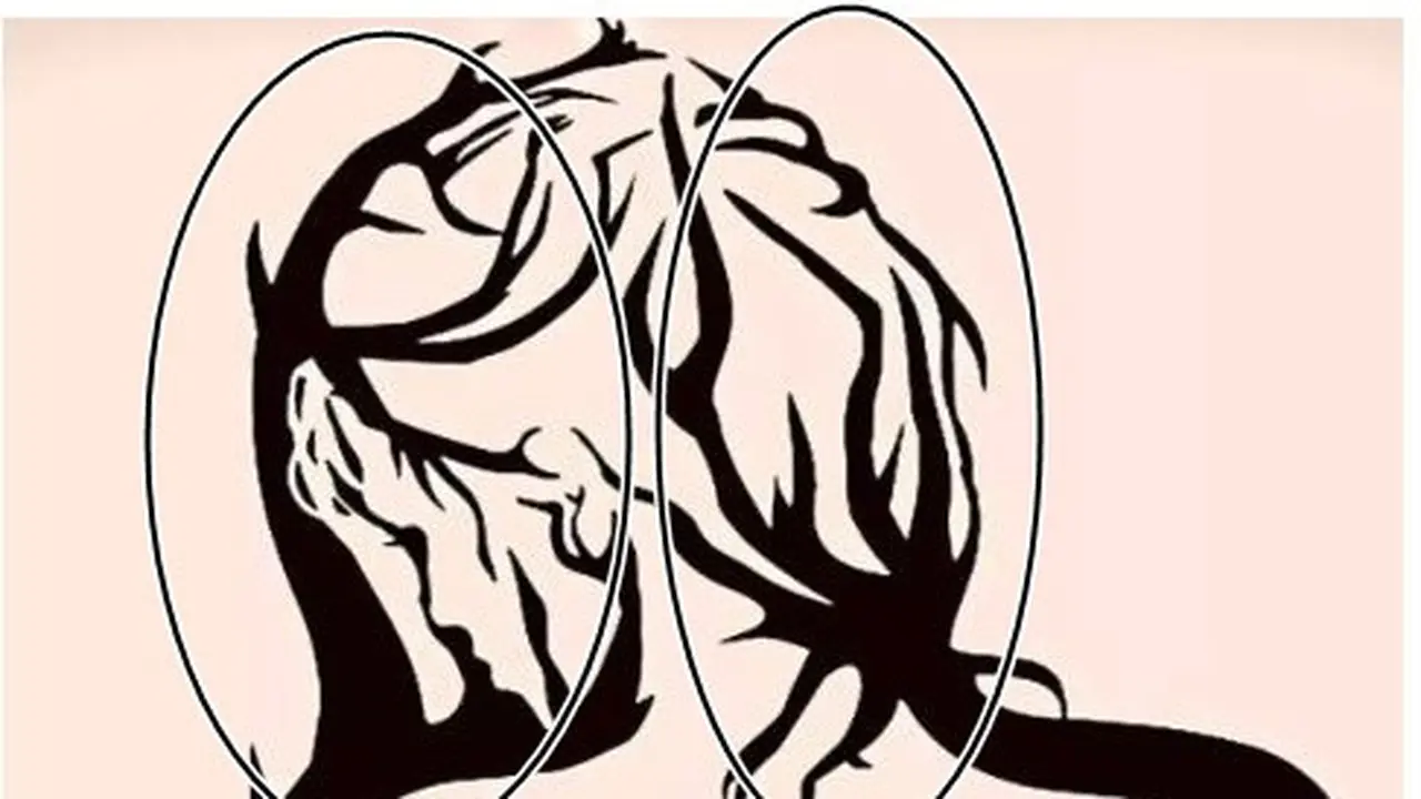 Tes Kepribadian, Gambar Pertama yang Dilihat Ungkap Kamu Introvert atau Ekstrovert