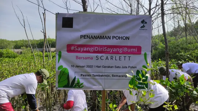 Gerakan Sejuta Pohon, Skincare Lokal ini Tanam 3000 Mangrove