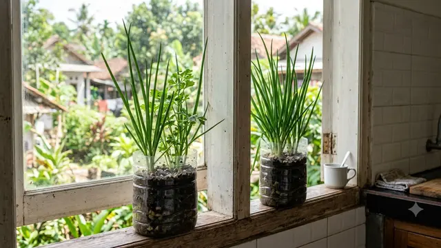 Cara Menanam Daun Bawang di Botol Bekas yang Mudah Dirawat