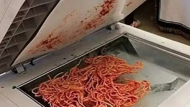 6 Tingkah Gokil Orang Pakai Mesin Fotokopi Kocak, Absurd Maksimal